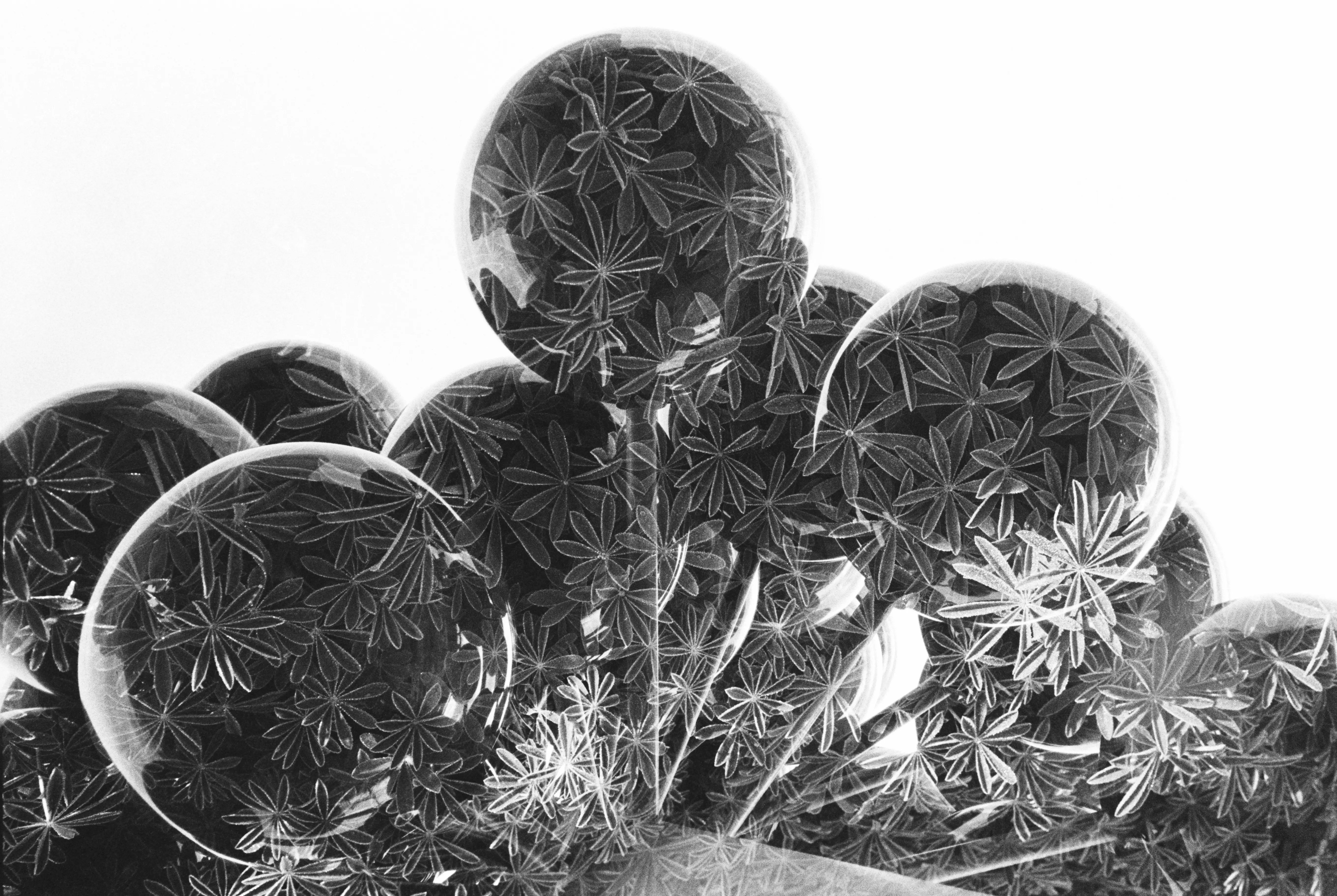 double exposure of sphere sculpture and plants