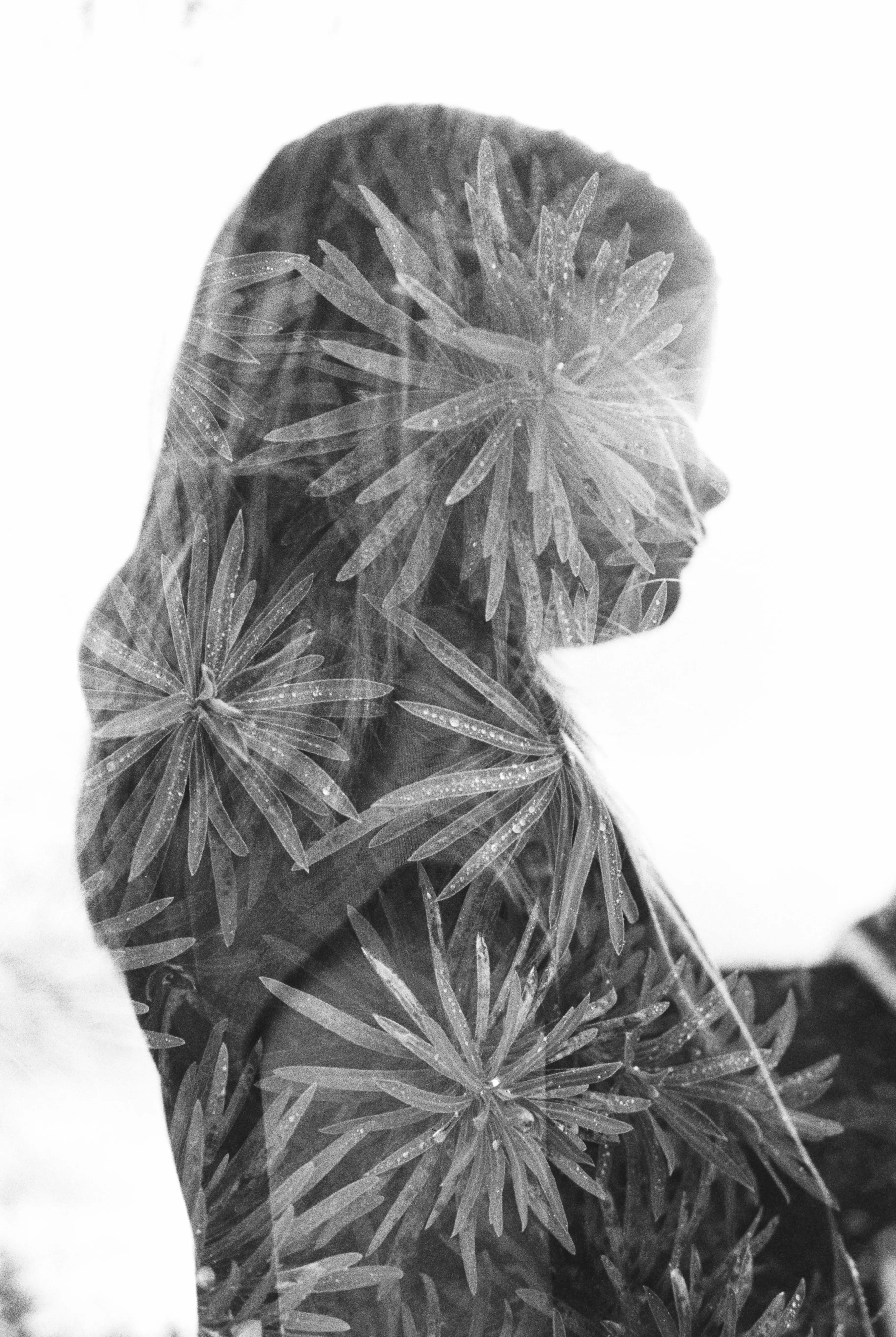 double exposure of a girl and plants