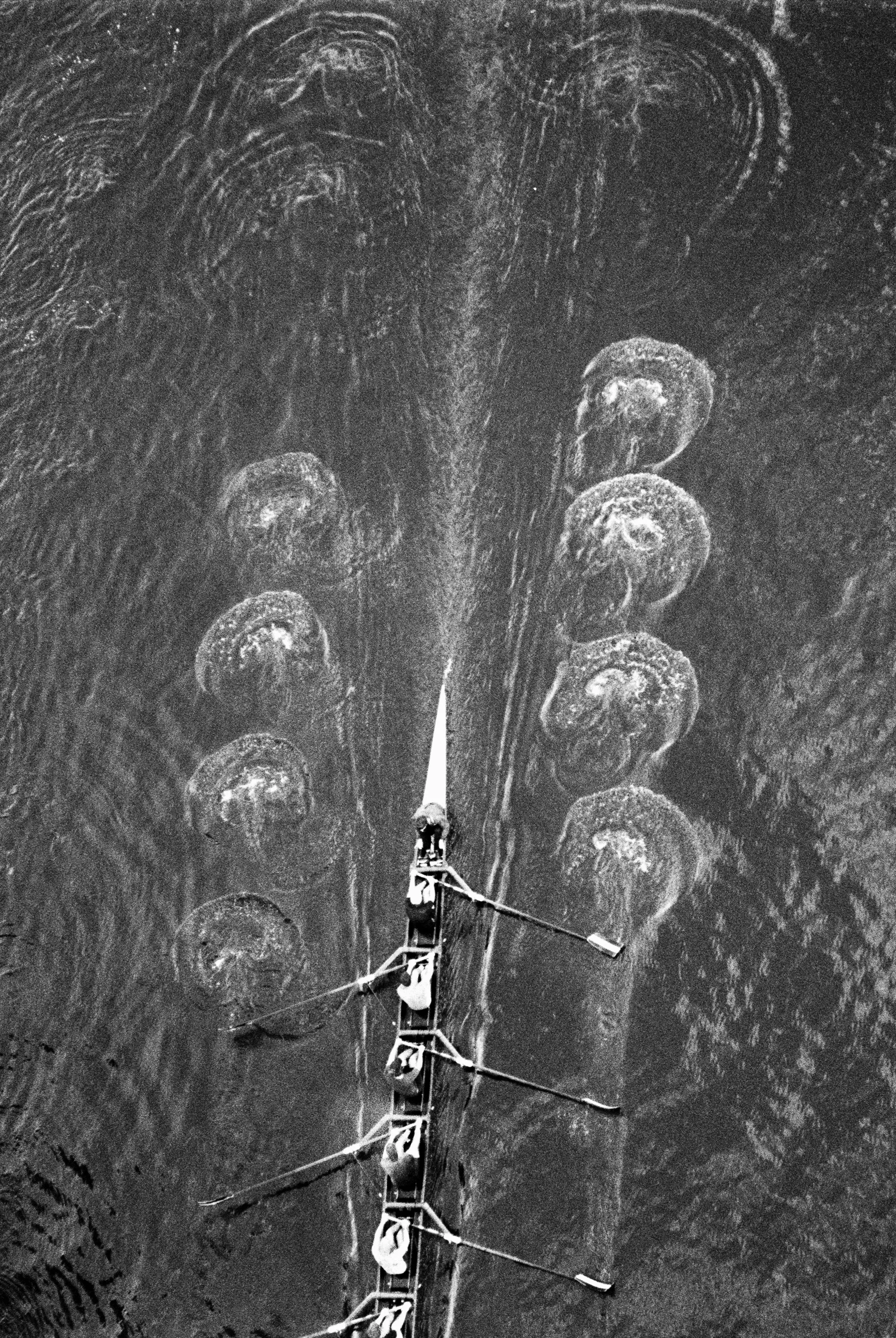 top view of crew team rowing